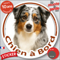 Berger Américain Miniature bleu merle, sticker voiture rond "Chien à Bord" 2 tailles D