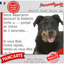Beauceron noir et feu, plaque humour "parcourt distance Niche - Portail 3 secondes" 2 tailles 3SEC D