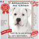Dogue Argentin tout blanc, plaque portail verticale "Attention au Chien, interdit sans autorisation" photo pancarte Dogo