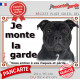 Staffie tout noir tête, plaque portail "Je Monte la Garde, risques périls" panneau affiche pancarte, staffy entièrement noir pho