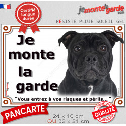 Staffie tout noir tête, plaque portail "Je Monte la Garde, risques périls" panneau affiche pancarte, staffy entièrement noir pho