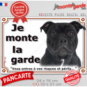 Staffie tout noir, plaque portail "Je Monte la Garde, risques périls" 2 tailles LUX D