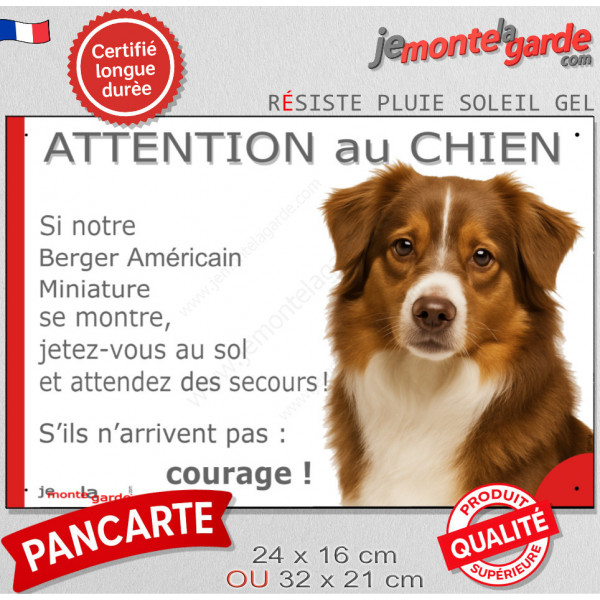 Berger Américain Miniature tricolore rouge, plaque portail humour "Attention au Chien, Jetez Vous au Sol attendez secours" photo
