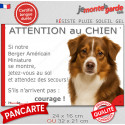Berger Américain Miniature, plaque humour "Attention au Chien, Jetez Vous au Sol" 2 tailles JET D