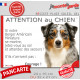 Berger Américain Miniature bleu merle, plaque portail humour "Attention au Chien, Jetez Vous au Sol attendez secours" photo