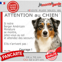 Berger Américain Miniature bleu merle, plaque portail humour "Attention au Chien, Jetez Vous au Sol attendez secours" photo