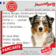 Berger Américain Miniature bleu merle, plaque extérieure humour "parcourt distance Niche-Portail moins 3 secondes, rapide" photo