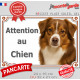 Berger Américain Miniature tricolore rouge, plaque portail "Attention au Chien" pancarte photo panneau aussie TOY australien