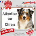 Berger Americain Miniature bleu merle, plaque portail "Attention au Chien" 2 tailles LUX D