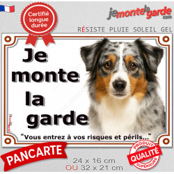 Berger Américain Miniature bleu merle, plaque portail "Je Monte la Garde, risques périls" pancarte photo aussie TOY arlequin