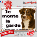 Berger Australien Tricolore marron, plaque extérieure "Je Monte la Garde, risques périls" 2 tailles LUX D
