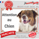 Berger Australien tricolore rouge, plaque portail "Attention au Chien" pancarte panneau photo aussie