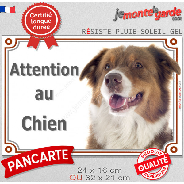 Berger Australien tricolore rouge, plaque portail "Attention au Chien" pancarte panneau photo aussie