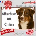 Berger Australien tricolore marron, plaque extérieure photo "Attention au Chien" 2 tailles LUX D