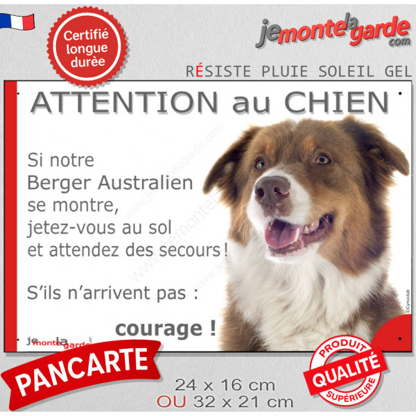 Berger Australien Tricolore Rouge, Panneau humour "Attention au Chien jetez-vous au sol et attendez" marrant plaque Aussie