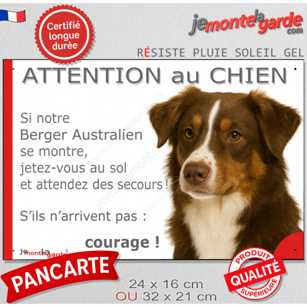Berger Australien Tricolore marron chocolat, Panneau humour "Attention au Chien jetez-vous au sol et attendez" Aussie