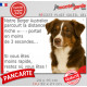 Berger Australien Tricolore marron chocolat, plaque Portail humour "parcourt distance niche-portail moins 3 secondes" photo