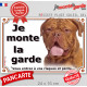 Dogue de Bordeaux face Rouge, plaque portail "Je Monte la Garde, risques et périls" panneau pancarte attention au chien photo