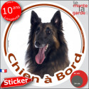 Berger Belge Tervueren, sticker voiture rond "Chien à Bord" 2 tailles D