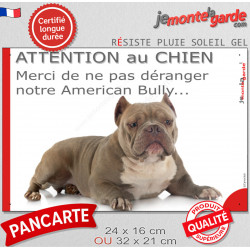 Plaque portail humour "Attention au Chien, Merci de ne pas déranger notre American Bully red nose" Panneau marrant pancarte drôl