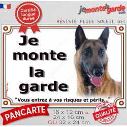 Berger Belge Malinois Tête, Plaque portail "Je Monte la Garde, risques périls" panneau affiche pancarte attention au chien photo
