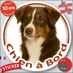 Berger Australien Tricolore marron chocolat, sticker autocollant rond "Chien à Bord" Disque adhésif photo