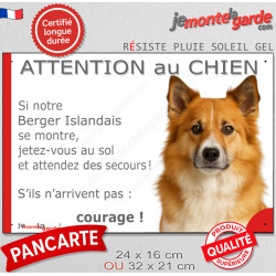 Berger Islandais fauve roux, plaque extérieure humour "Attention au Chien, Jetez Vous au Sol, attendez secours, courage" photo