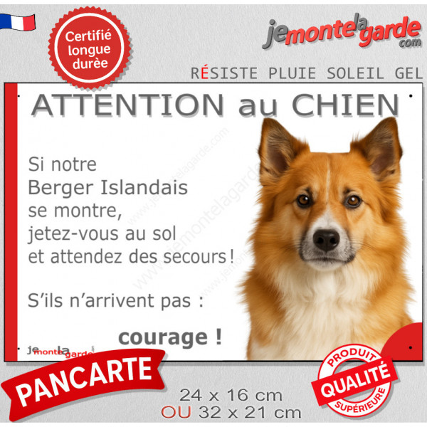Berger Islandais fauve roux, plaque extérieure humour "Attention au Chien, Jetez Vous au Sol, attendez secours, courage" photo