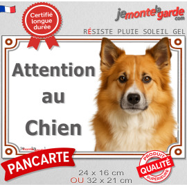 Berger Islandais fauve roux, plaque extérieure portail "Attention au Chien" pancarte panneau photo
