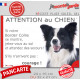 Border Collie noir et blanc poils longs, plaque portail humour "Attention au Chien, Jetez Vous au Sol" pancarte photo