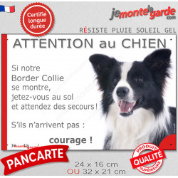 Border Collie noir et blanc poils longs, plaque portail humour "Attention au Chien, Jetez Vous au Sol" pancarte photo