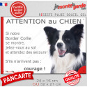 Border Collie noir et blanc, plaque portail humour "Attention au Chien, Jetez Vous au Sol" 2 tailles JET D