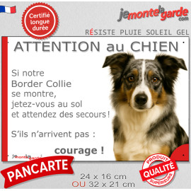Border Collie bleu merle à poils longs, plaque portail humour "Attention au Chien, Jetez Vous au Sol" photo, résiste pluie solei