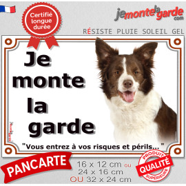 Border Collie chocolat marron brun et blanc, plaque portail "Je Monte la Garde, risques périls" photo, résiste pluie soleil gel,