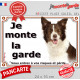 Border Collie chocolat marron brun et blanc, plaque portail "Je Monte la Garde, risques périls" pancarte panneau photo