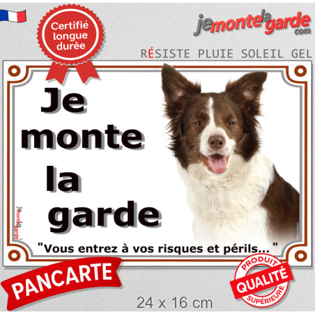 Border Collie chocolat et blanc, plaque portail photo "Je Monte la Garde, vous entrez à vos risques et périls" 3 tailles D