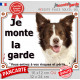 Border Collie chocolat marron brun et blanc, plaque portail "Je Monte la Garde, risques périls" pancarte panneau photo