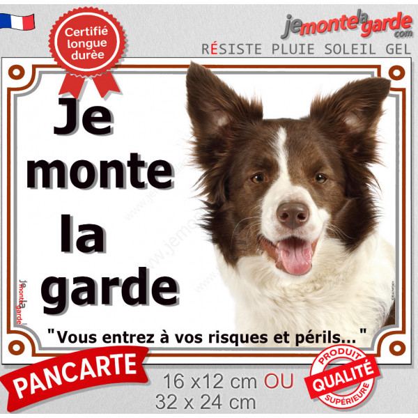 Border Collie chocolat marron brun et blanc, plaque portail "Je Monte la Garde, risques périls" pancarte panneau photo