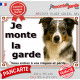 Border Collie bleu merle tricolore, plaque portail "Je Monte la Garde, risques périls" pancarte panneau photo