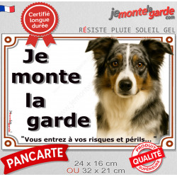Border Collie bleu merle tricolore, plaque portail "Je Monte la Garde, risques périls" pancarte panneau photo