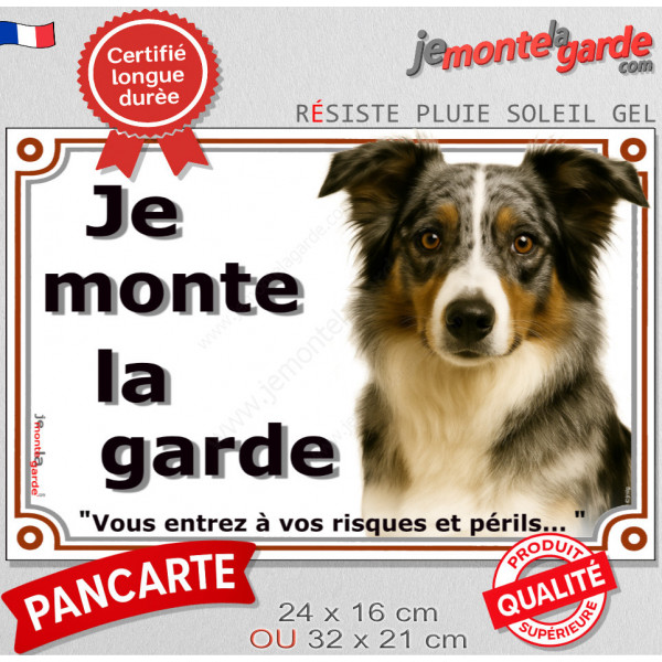 Border Collie bleu merle tricolore, plaque portail "Je Monte la Garde, risques périls" pancarte panneau photo