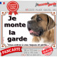 Cane Corso Italiano fauve masque noir, plaque portail "Je Monte la Garde, entrez à vos risques et périls" pancarte photo