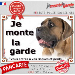 Cane Corso Italiano fauve masque noir, plaque portail "Je Monte la Garde, entrez à vos risques et périls" pancarte photo