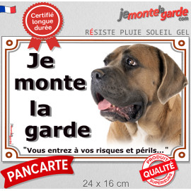 Cane Corso fauve, plaque portail "Je Monte la Garde, vous entrez à vos risques et périls" 3 tailles E