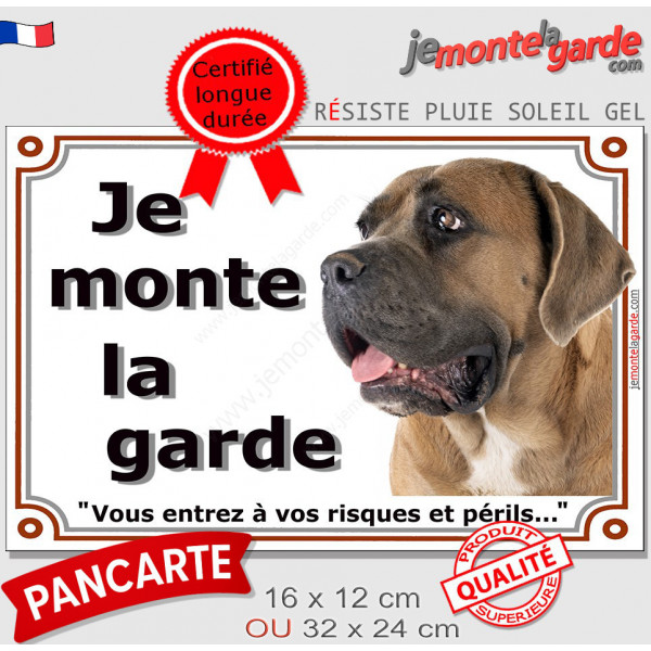 Cane Corso Italiano fauve masque noir, plaque portail "Je Monte la Garde, entrez à vos risques et périls" pancarte photo