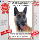 Berger Belge Malinois Tête, Plaque Portail verticale "Attention au Chien, pas sans autorisation" pancarte extérieur photo