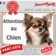 Chihuahua chocolat & Tan à poils longs, plaque portail "Attention au Chien" pancarte panneau photo Chiwawa marron