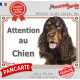 Cocker Anglais Spaniel marron chocolat et feu, plaque portail "Attention au Chien" panneau pancarte affiche photo