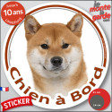 Shiba Inu fauve, sticker voiture rond "Chien à Bord" 2 tailles D