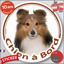 Berger Shetland fauve, sticker autocollant rond "Chien à Bord" disque photo adhésif vitre voiture Sheltie marron